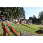 obrazek fotogalerie 2 z242