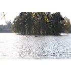 obrazek fotogalerie 2 z242