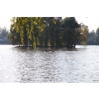 obrazek fotogalerie 3 z242