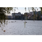 obrazek fotogalerie 3 z242