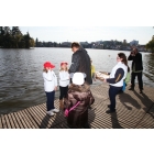obrazek fotogalerie 2 z242