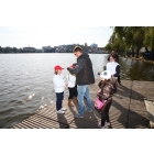 obrazek fotogalerie 3 z242