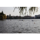 obrazek fotogalerie 3 z242
