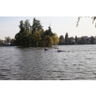 obrazek fotogalerie 4 z242