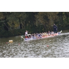 obrazek fotogalerie 3 z54