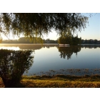 obrazek fotogalerie 2 z45
