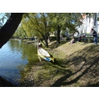 obrazek fotogalerie 2 z45